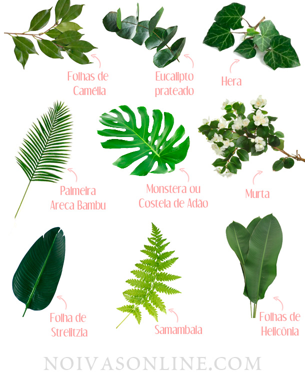 folhagem para decoração