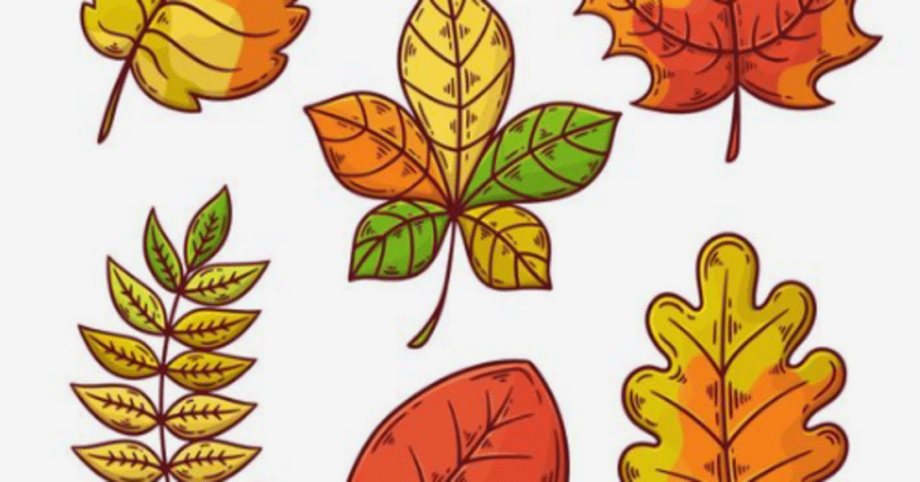 Guia completo de folhas desidratadas: tipos, conservação e ideias de uso