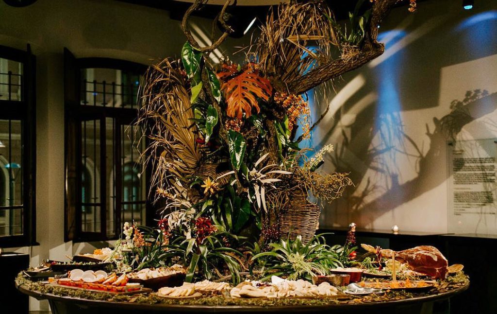 Tendências de decoração com folhagens: do boho ao urban jungle