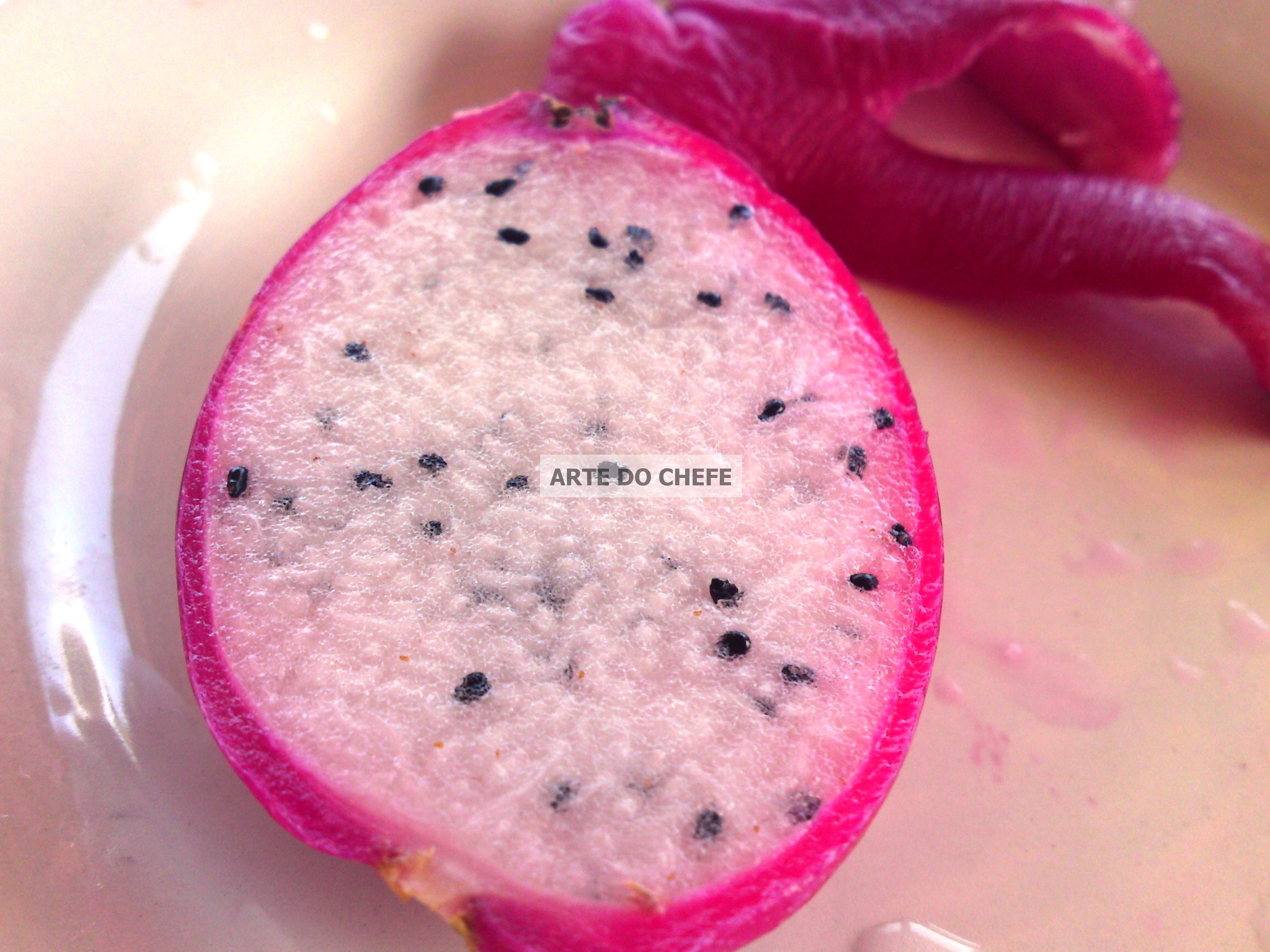 como cultivar mandacaru