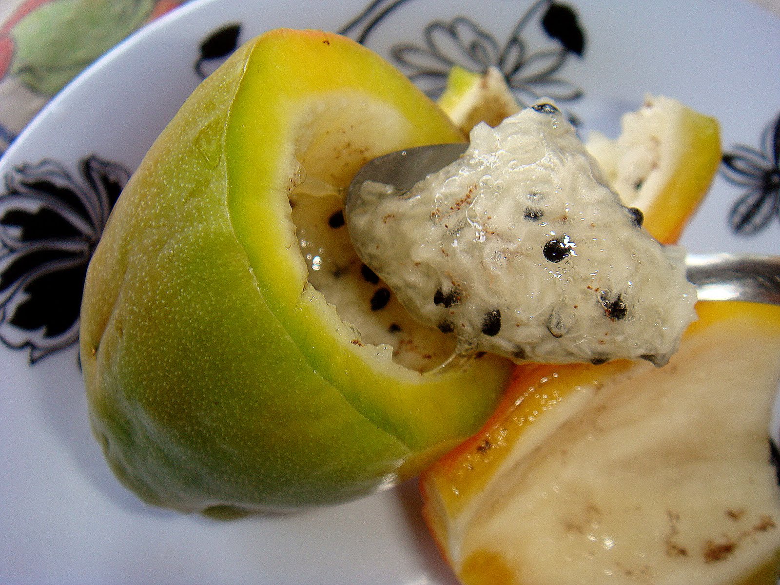 onde encontrar fruto do mandacaru