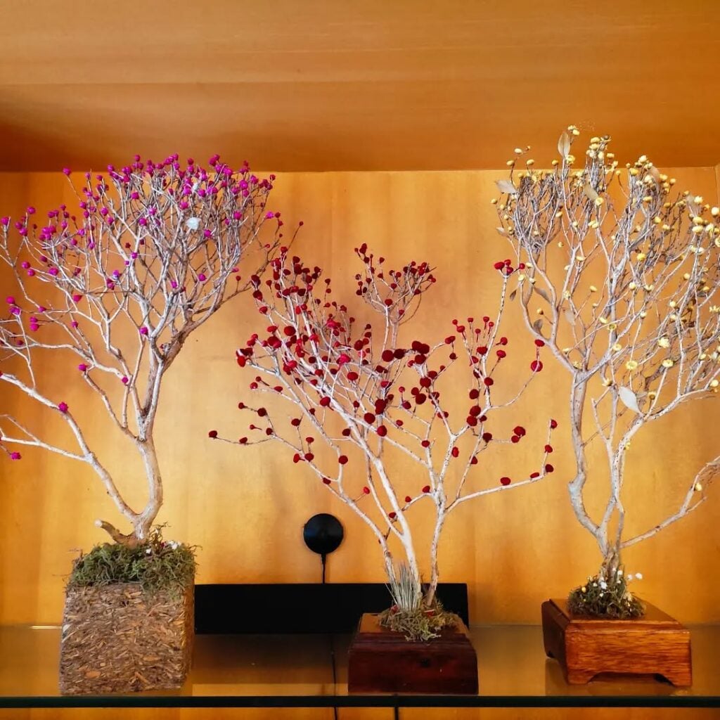 como evitar mofo galho seco decoração