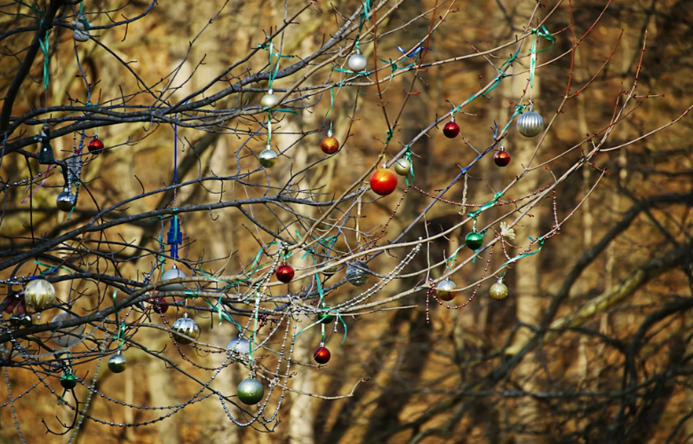 galhos de árvores na decoração