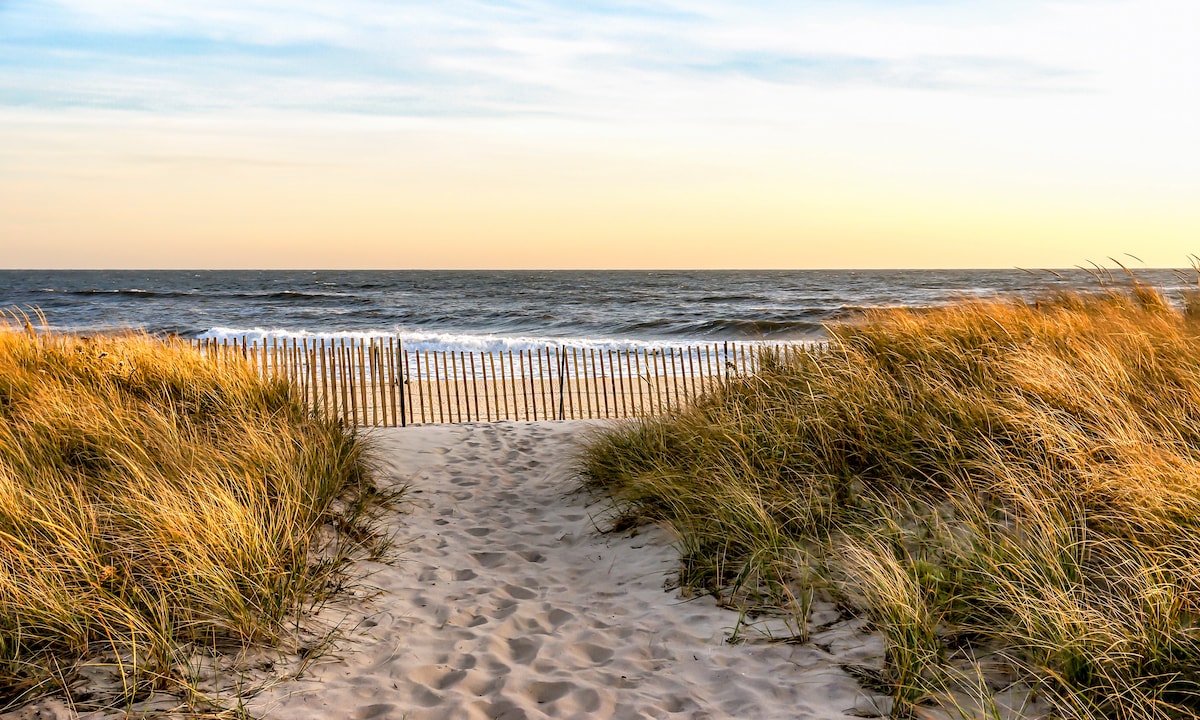 Design Hamptons