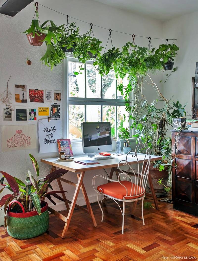 Plantas no Home Office: Benefícios e Melhores Espécies para um Ambiente Inspirador