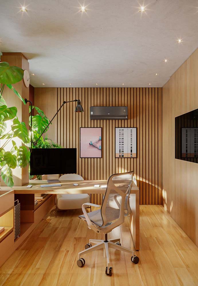 Plantas no Home Office: Benefícios e Melhores Espécies para um Ambiente Inspirador