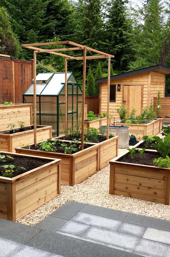 Horta em Casa: Como Montar uma Horta Funcional com Garrafas PET