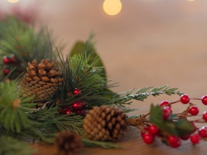 pinhas naturais versus pinhas artificiais natal
