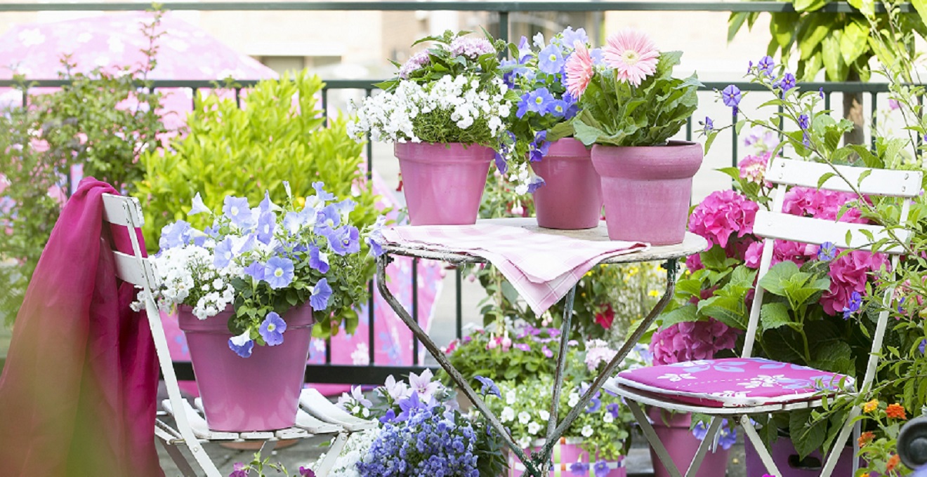 Iluminação de Jardim: Guia Completo para Valorizar seu Espaço