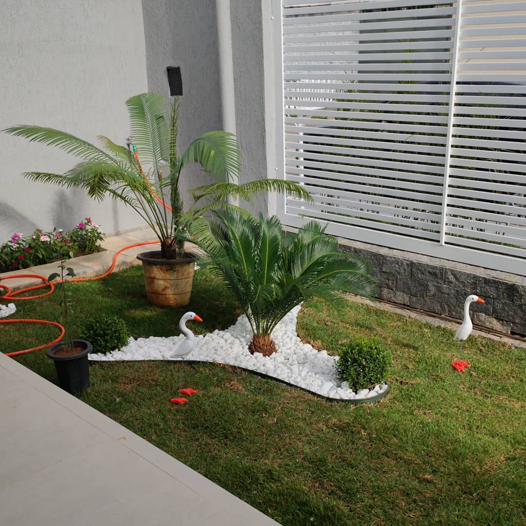 erros comuns ao montar um jardim vertical pequeno