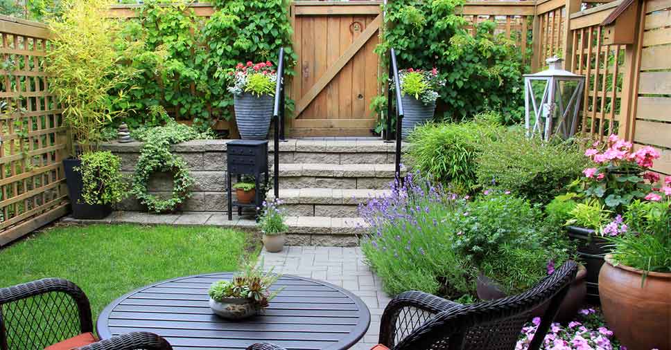 quintal pequeno moderno