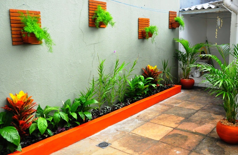 plantas para quintal pequeno