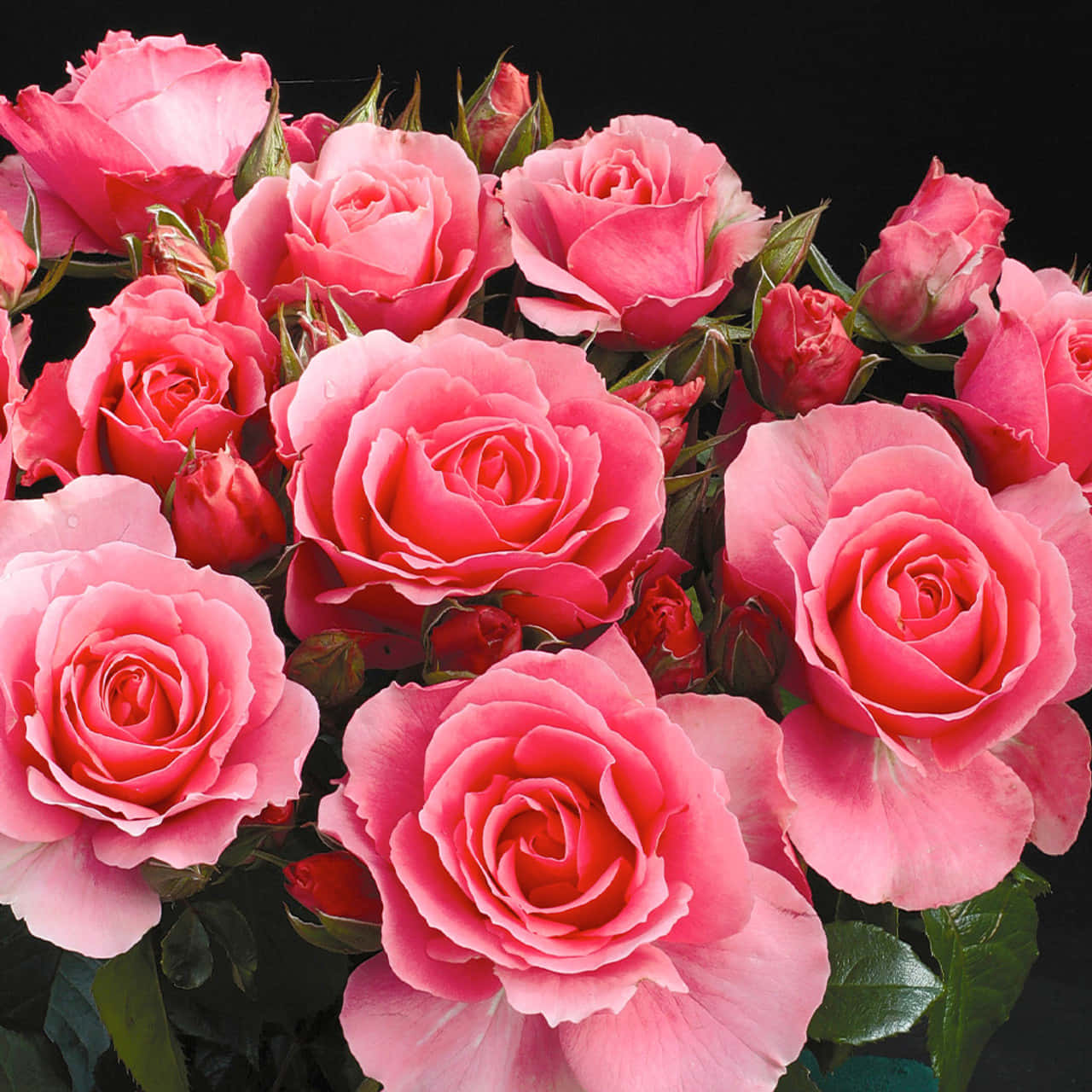 flores para presentes
