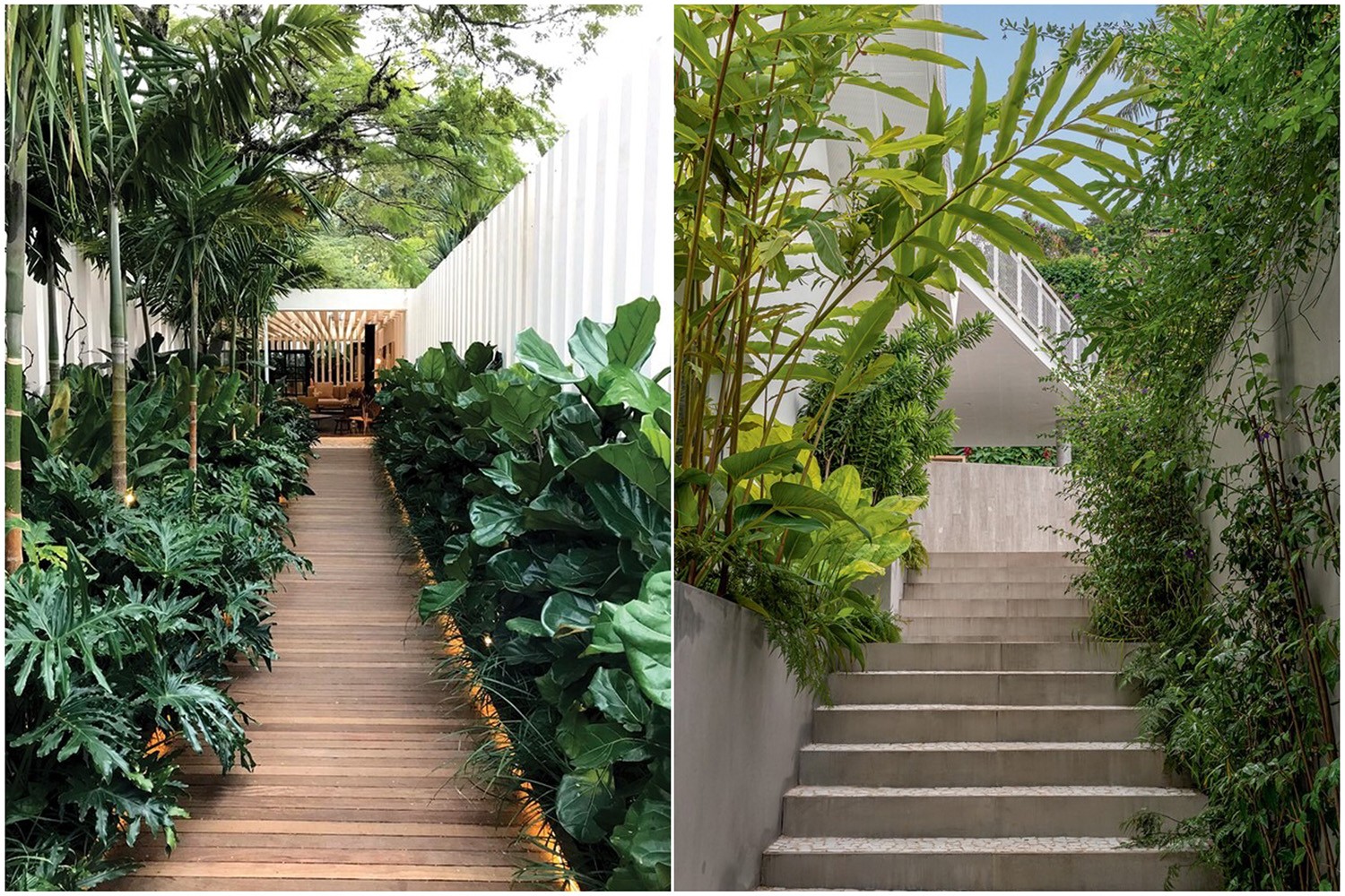 jardim corredor pequeno