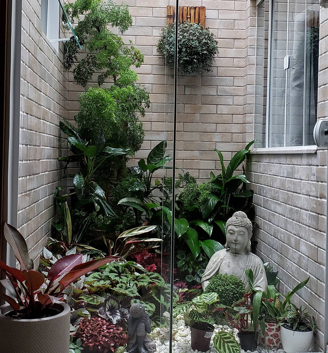 jardim de inverno corredor com claraboia