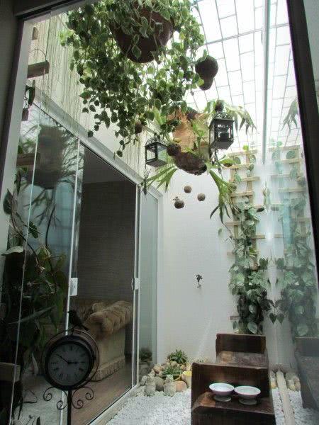 jardim de inverno corredor com orquídeas