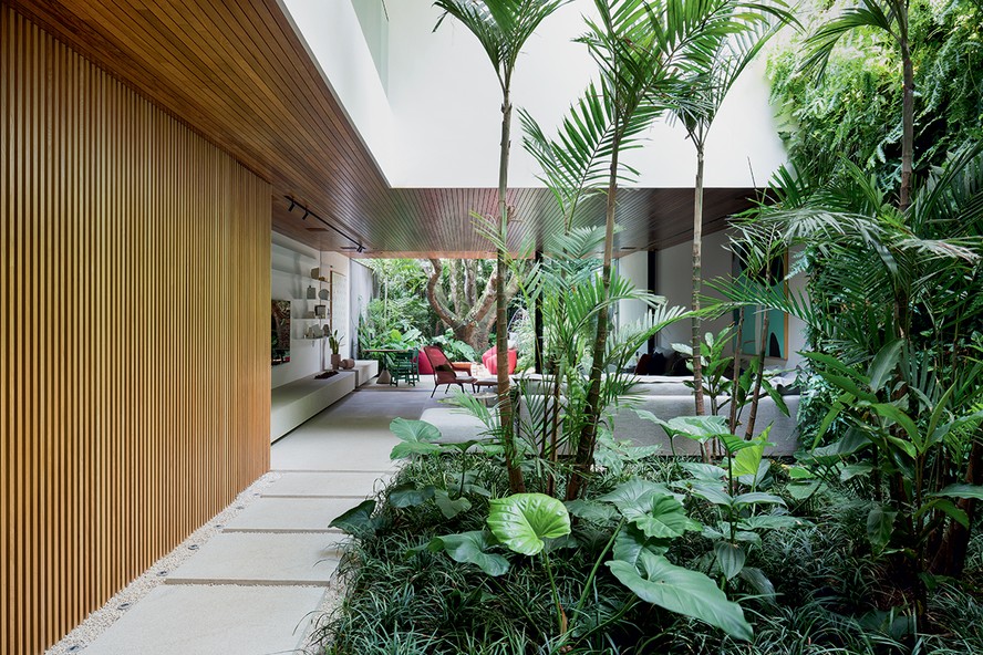 plantas para jardim de inverno