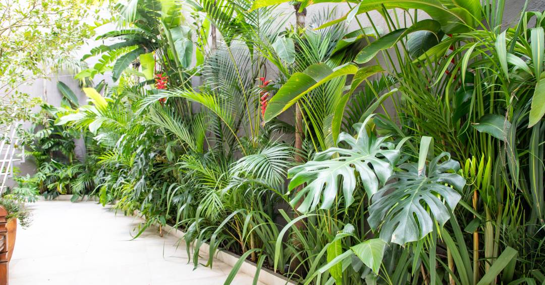 decoração de jardim pequeno 2026