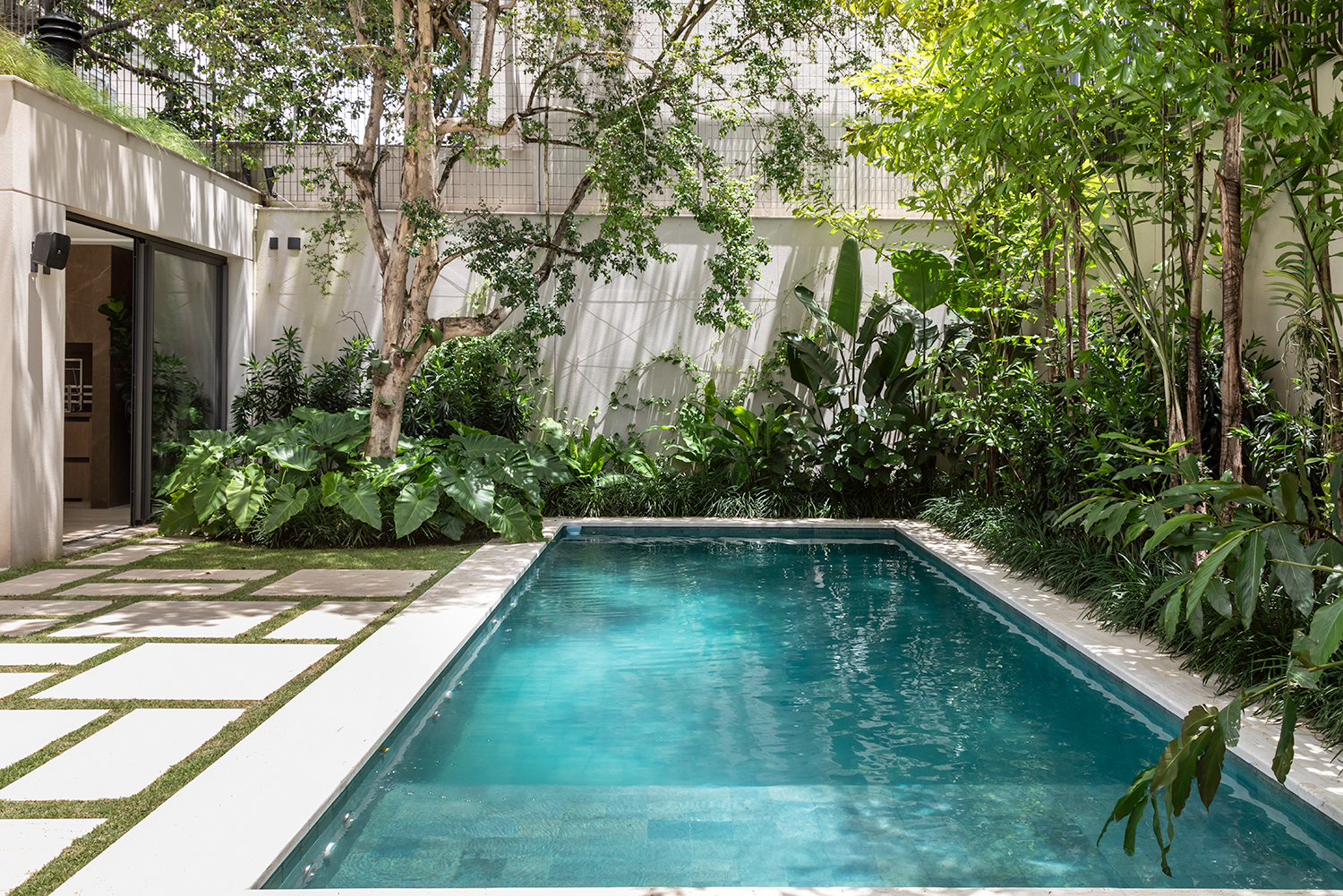 plantas para piscina que não sujam