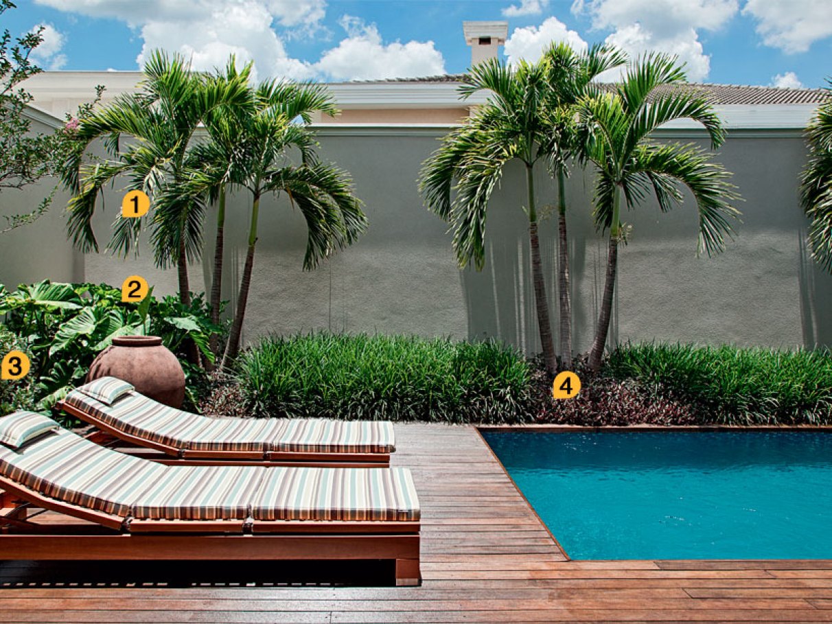 paisagismo tropical piscina