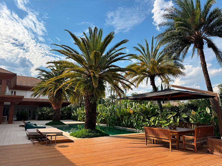 plantas para piscina que não sujam