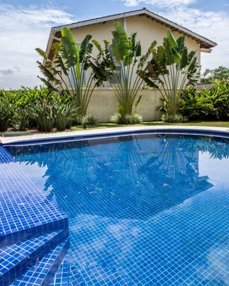árvores para perto de piscina