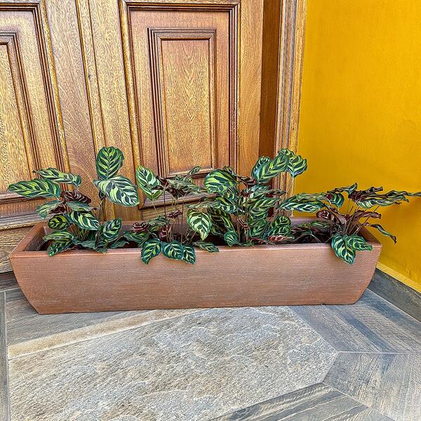 jardineira para plantas de parede