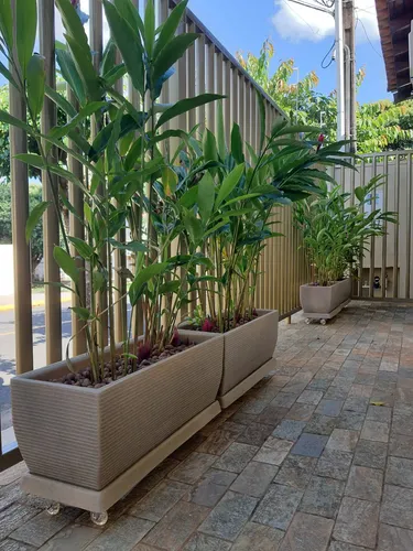 jardineira para plantas de chão