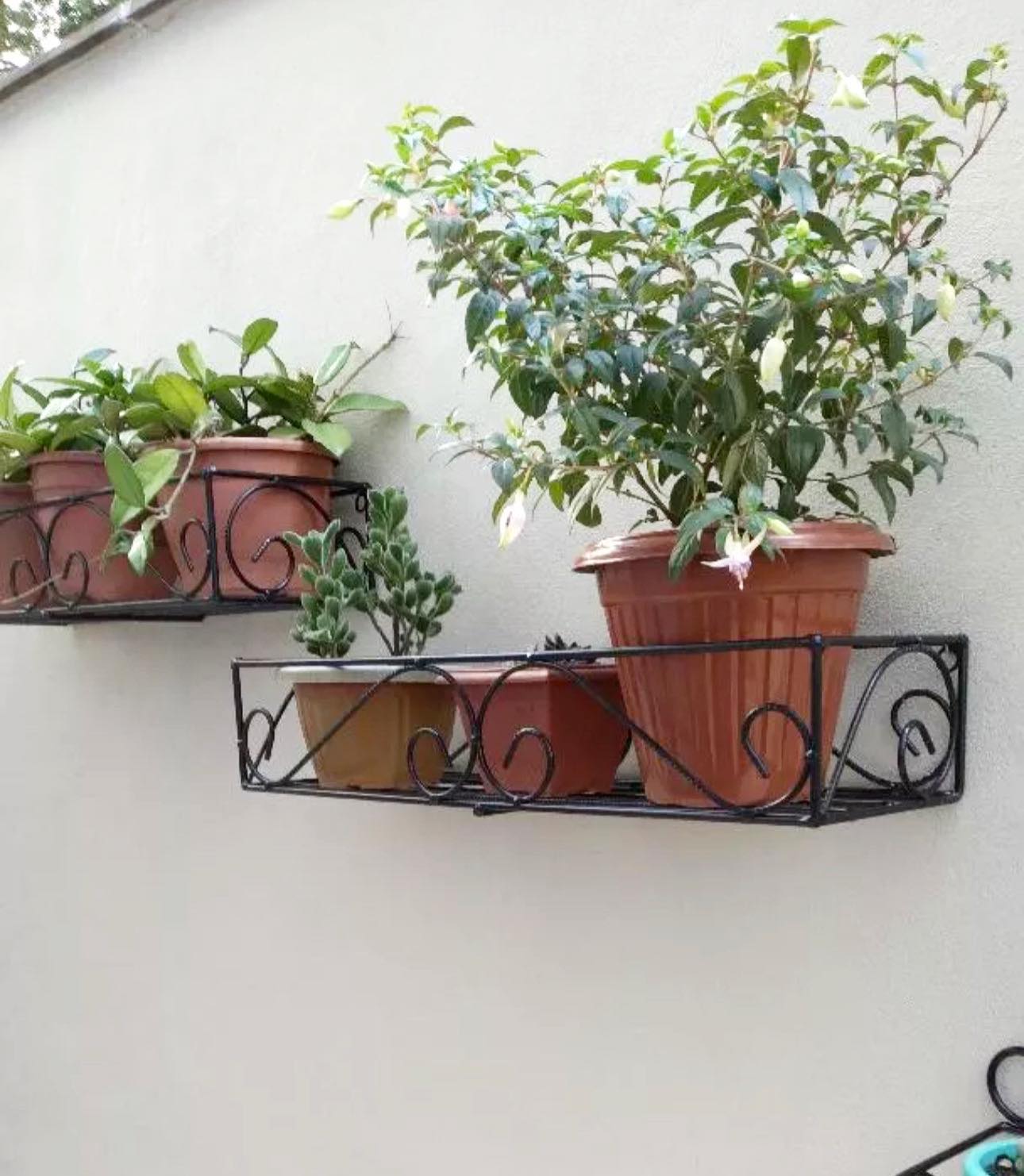 jardineira para plantas de parede