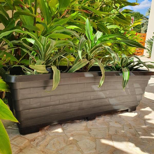 jardineira para temperos
