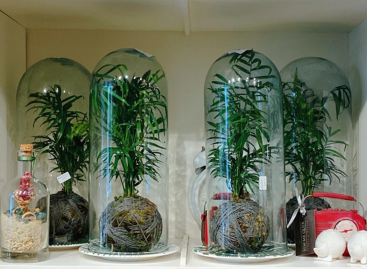 Kokedama com antúrio