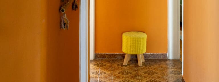 laranja vs azul qual cor combina mais