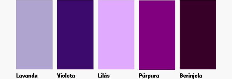 lilás vs roxo qual cor combina melhor