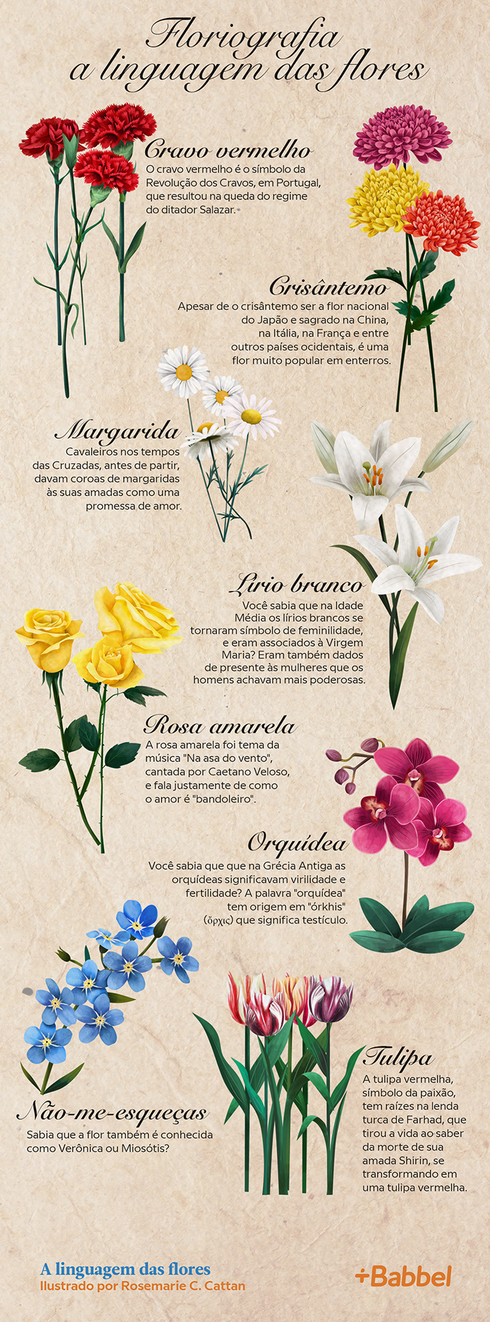 significado das flores e suas cores