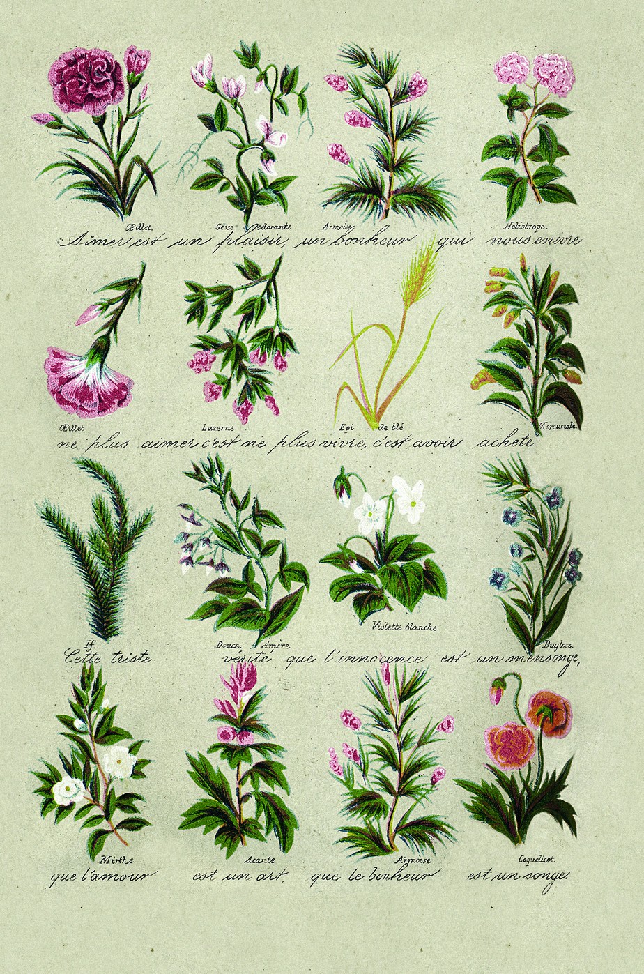 linguagem das flores na era vitoriana