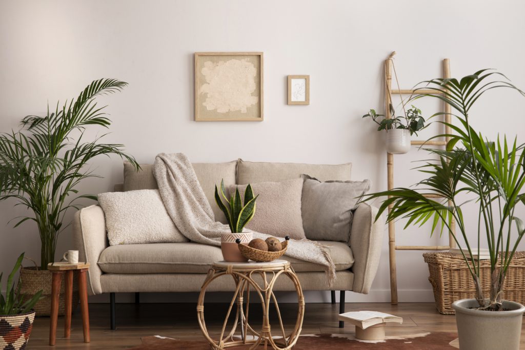 diferença sala de estar e living