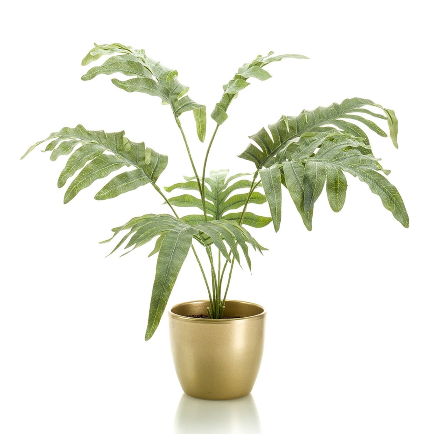 mini samambaia havaiana dicas de decoração com vasos