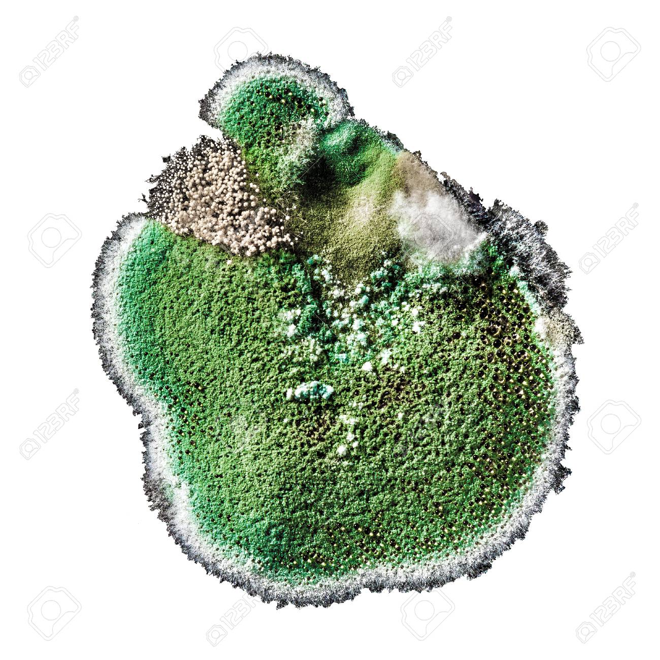 mofo verde em móveis