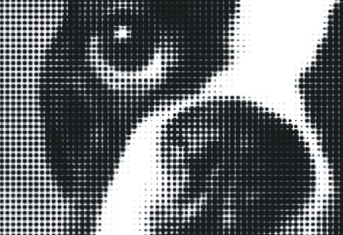 monocromia em design