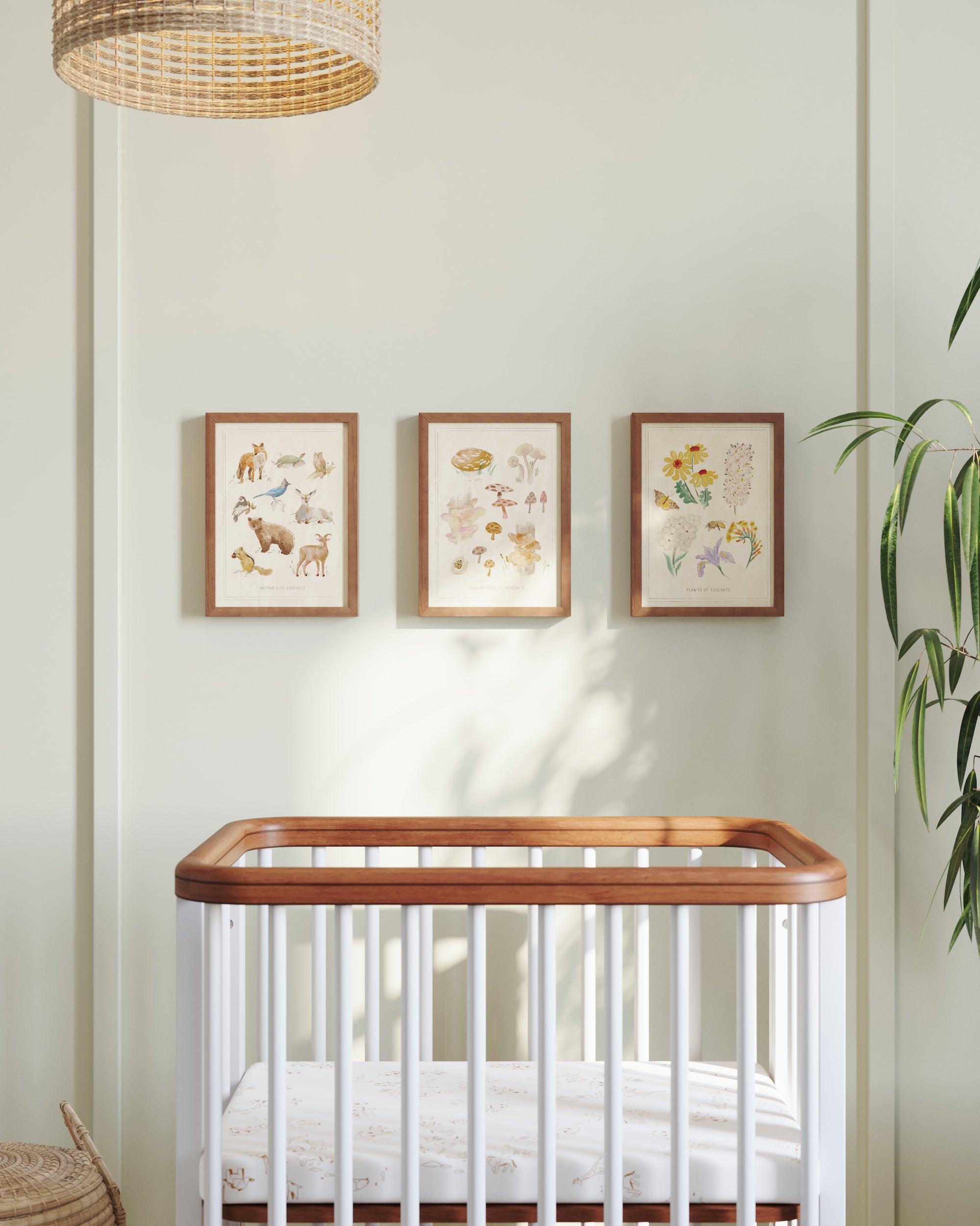 como escolher o tema perfeito para quarto de bebê menino