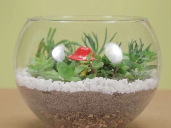 o que é um terrário