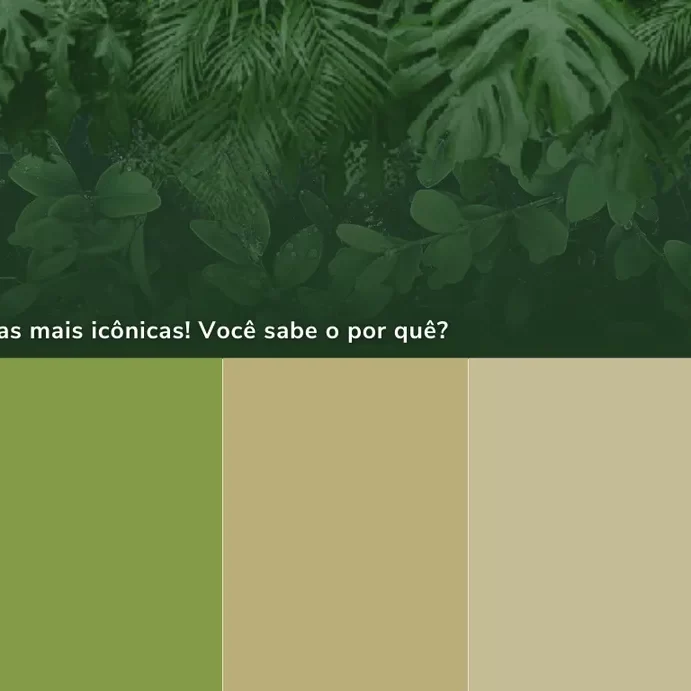 paleta verde musgo e terracota