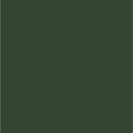 verde musgo combinações