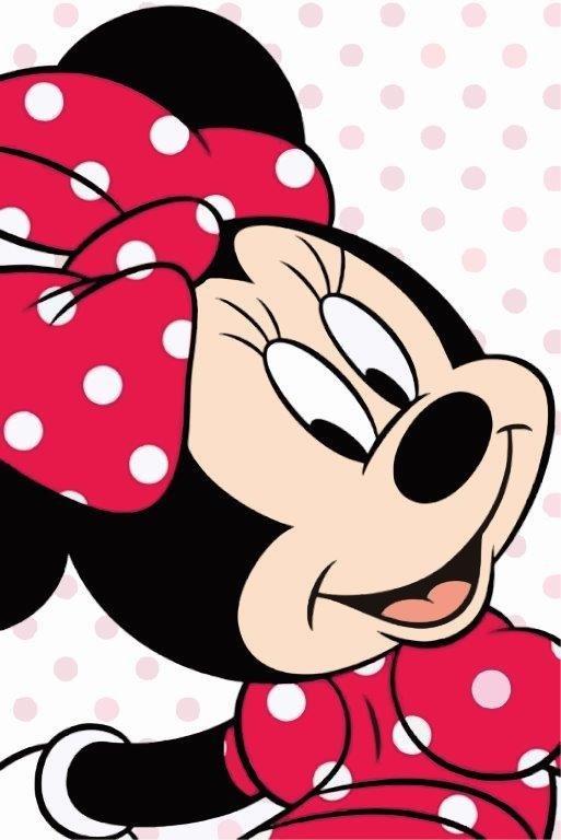 Papel de Parede Minnie com Flores