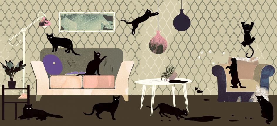 quanto custa papel de parede de gato