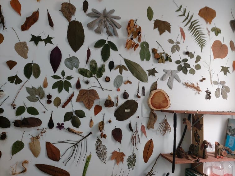 parede de folhas decoração