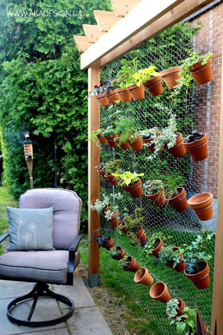 plantas para sombra jardim vertical