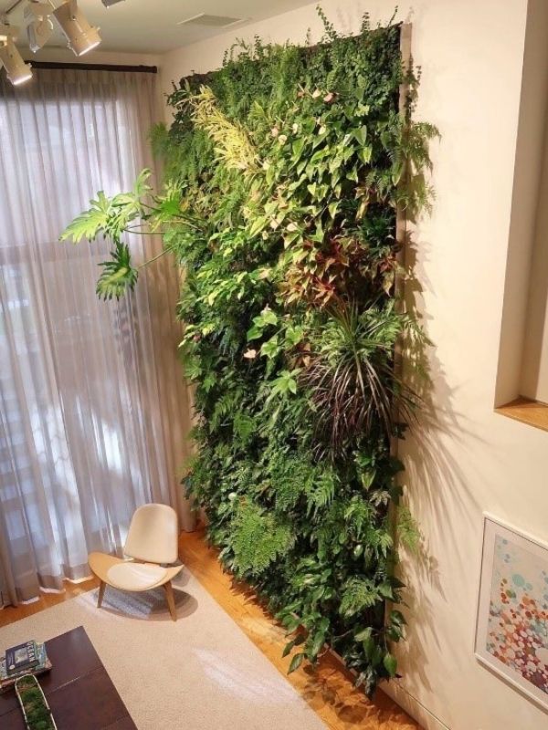 plantas para sol jardim vertical