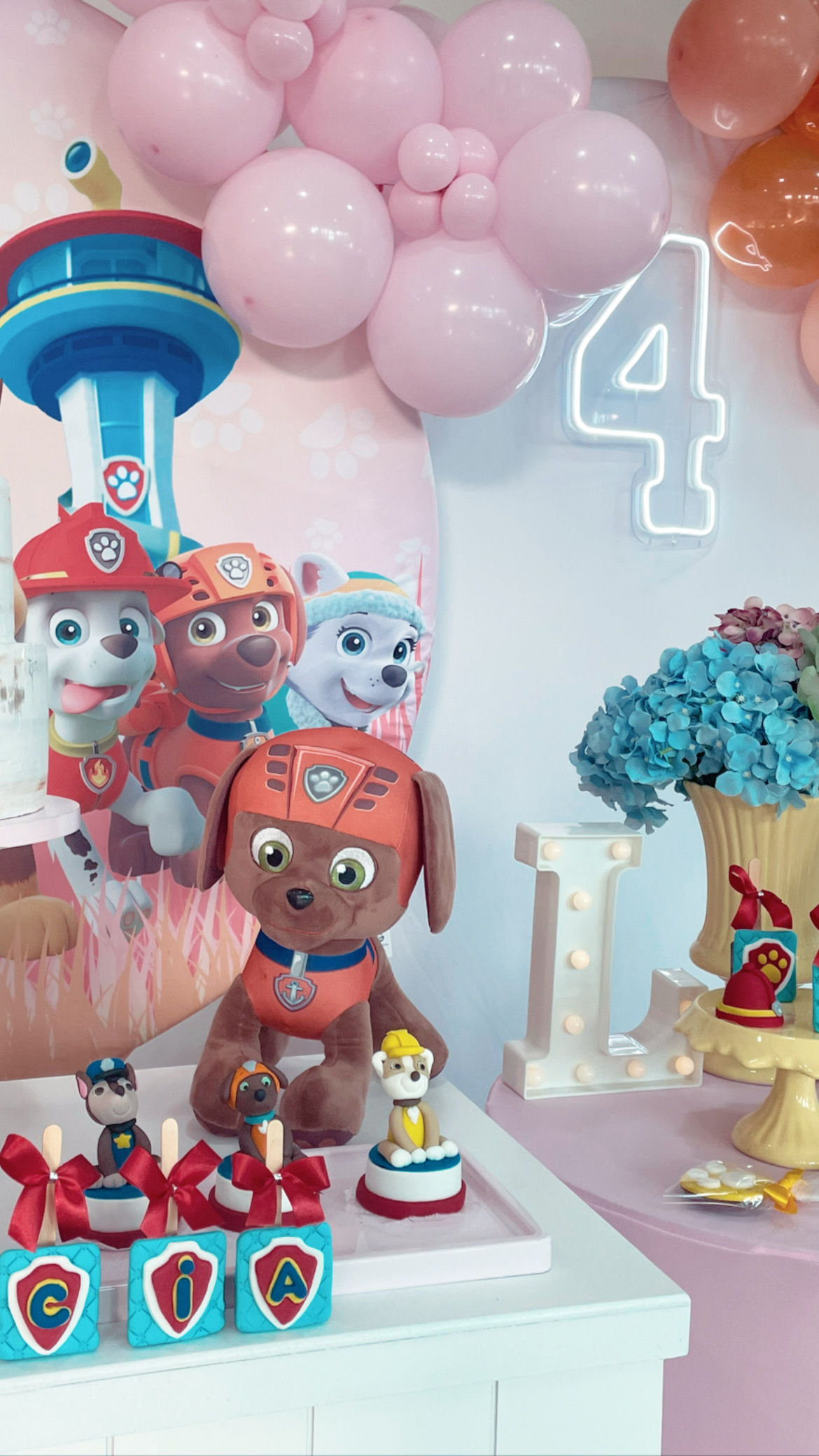 Onde Comprar Kits e Itens de Decoração da Patrulha Canina Online