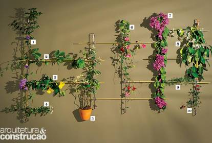 pergolado de concreto com trepadeiras